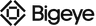 Bigeye logo