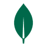 MongoDB logo